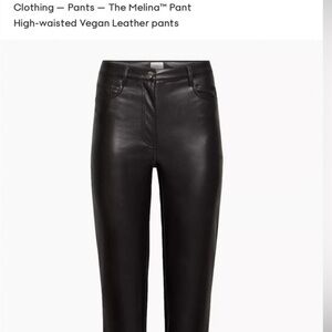 Aritiza leather pants